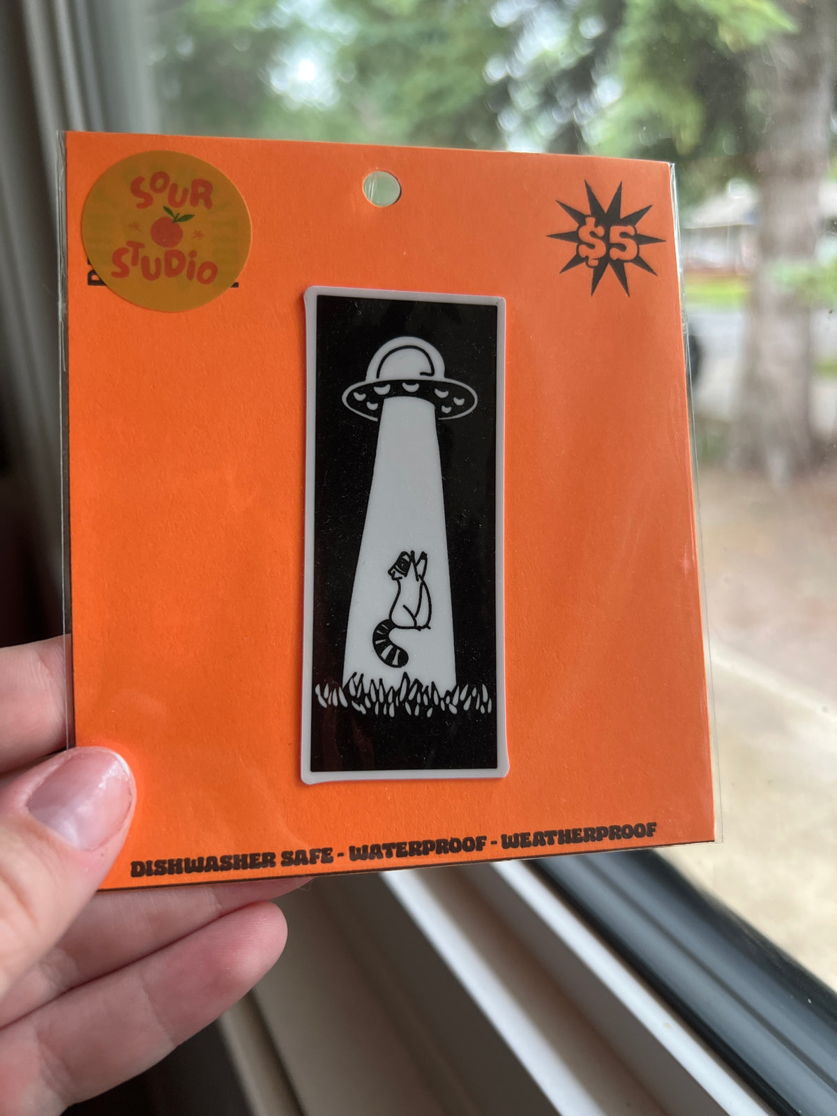 Raccoon Abduction Sticker