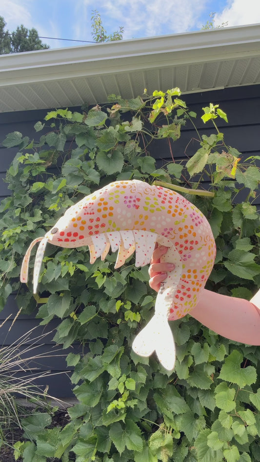 Shrimp Stuffy - Fruits