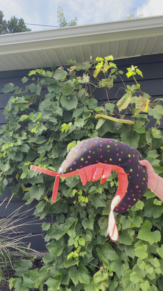 Shrimp Stuffy - Black Star